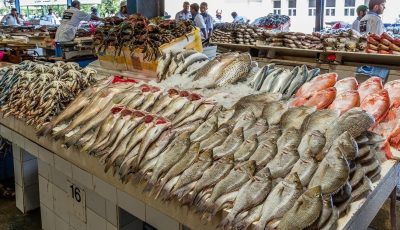 أسعار الأسماك والجمبري اليوم الخميس 11 سبتمبر 2025