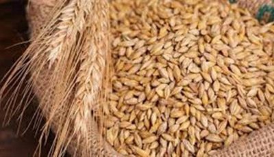 سعر طن الأرز الشعير اليوم الجمعة 5 سبتمبر 2025 في الأسواق