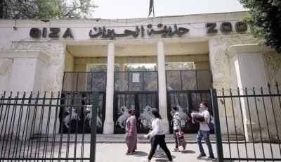 موعد افتتاح حديقة الحيوان بالجيزة بعد التطوير وأسعار التذاكر