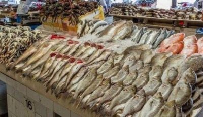 أسعار الأسماك والجمبري اليوم الاثنين 1 سبتمبر 2025